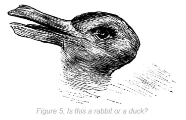 An image that can be interpreted as looking like a duck at the same time as a rabbit